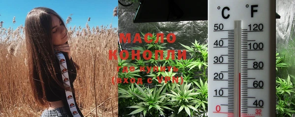 скорость Бородино