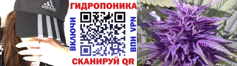 Бошки Шишки гибрид  Купить  Новоузенск 